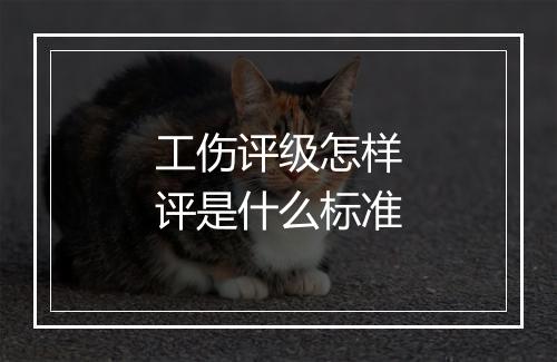 工伤评级怎样评是什么标准