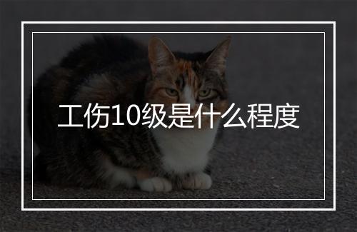 工伤10级是什么程度