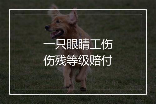 一只眼睛工伤伤残等级赔付