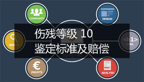 伤残等级 10 鉴定标准及赔偿