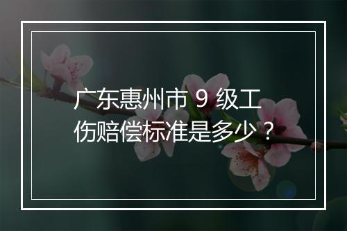 广东惠州市 9 级工伤赔偿标准是多少？