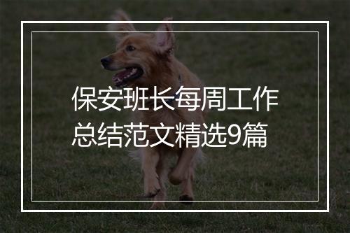 保安班长每周工作总结范文精选9篇