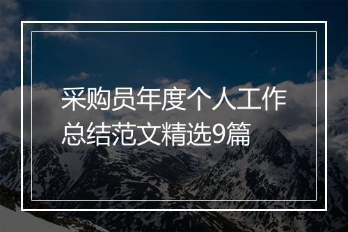采购员年度个人工作总结范文精选9篇