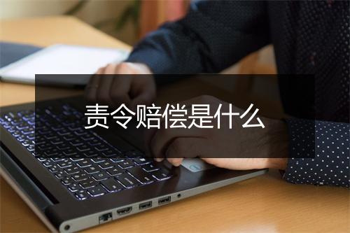 责令赔偿是什么