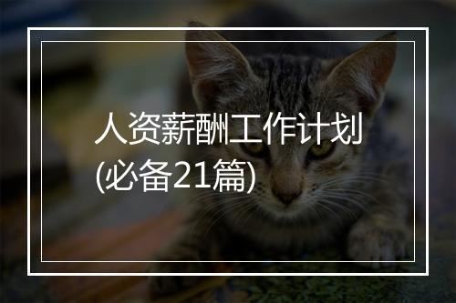 人资薪酬工作计划(必备21篇)