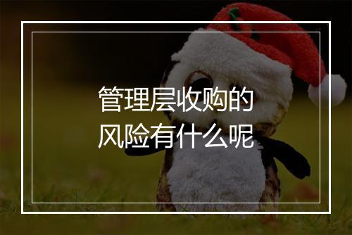 管理层收购的风险有什么呢