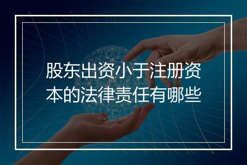 股东出资小于注册资本的法律责任有哪些