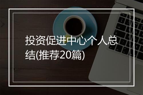 投资促进中心个人总结(推荐20篇)