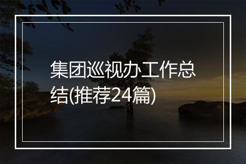集团巡视办工作总结(推荐24篇)