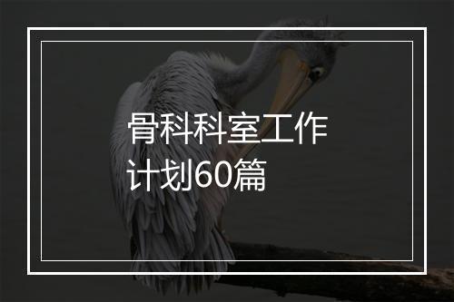 骨科科室工作计划60篇