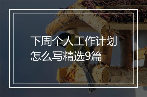 下周个人工作计划怎么写精选9篇