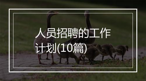 人员招聘的工作计划(10篇)