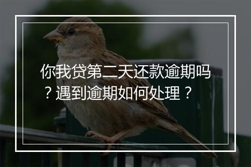 你我贷第二天还款逾期吗？遇到逾期如何处理？