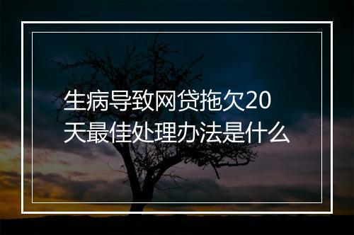 生病导致网贷拖欠20天最佳处理办法是什么