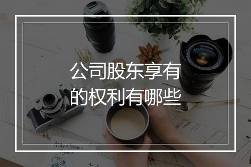 公司股东享有的权利有哪些
