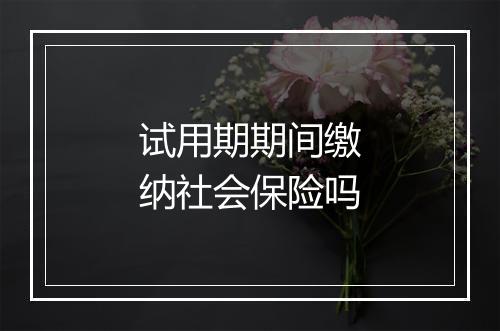 试用期期间缴纳社会保险吗