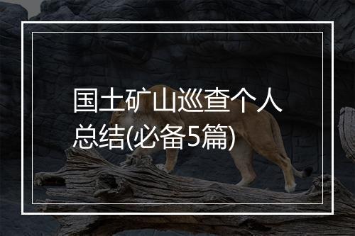 国土矿山巡查个人总结(必备5篇)