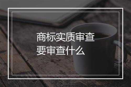 商标实质审查要审查什么