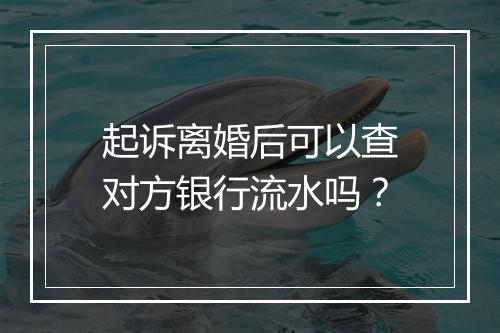 起诉离婚后可以查对方银行流水吗？