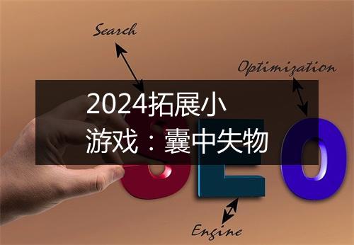 2024拓展小游戏：囊中失物
