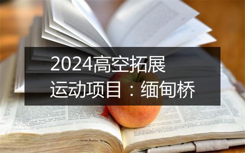 2024高空拓展运动项目：缅甸桥