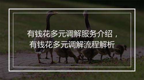 有钱花多元调解服务介绍， 有钱花多元调解流程解析