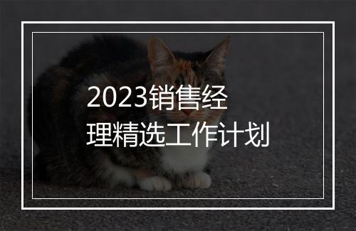 2023销售经理精选工作计划