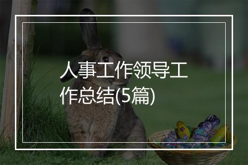 人事工作领导工作总结(5篇)