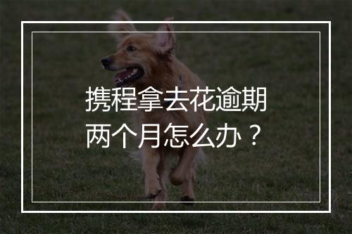 携程拿去花逾期两个月怎么办？