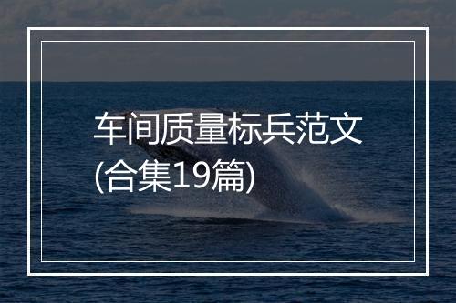 车间质量标兵范文(合集19篇)