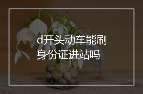 d开头动车能刷身份证进站吗