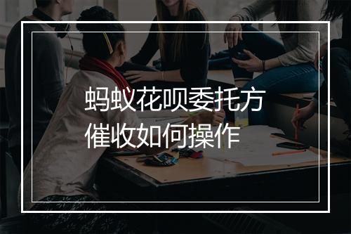 蚂蚁花呗委托方催收如何操作