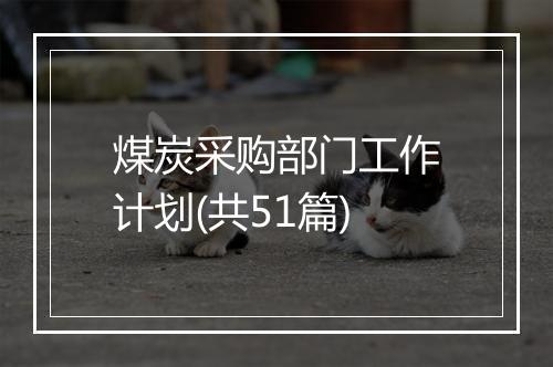 煤炭采购部门工作计划(共51篇)