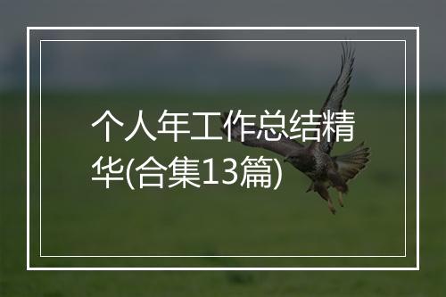 个人年工作总结精华(合集13篇)