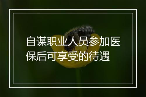 自谋职业人员参加医保后可享受的待遇