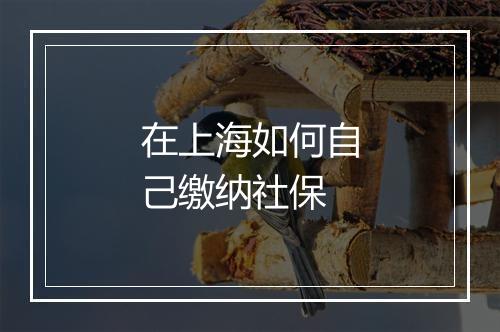 在上海如何自己缴纳社保