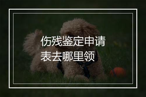 伤残鉴定申请表去哪里领