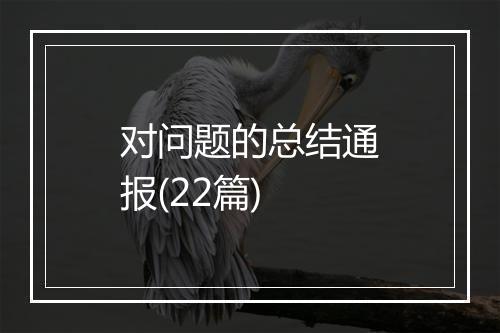 对问题的总结通报(22篇)
