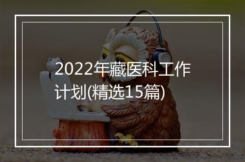 2022年藏医科工作计划(精选15篇)