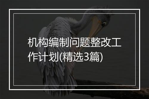 机构编制问题整改工作计划(精选3篇)