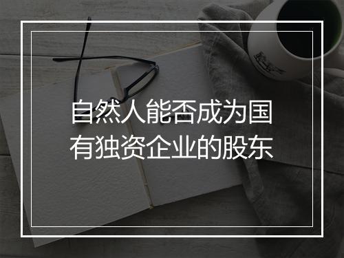 自然人能否成为国有独资企业的股东
