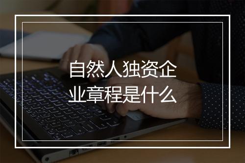 自然人独资企业章程是什么