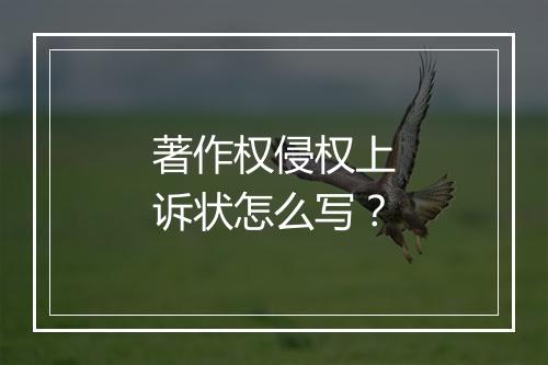著作权侵权上诉状怎么写？