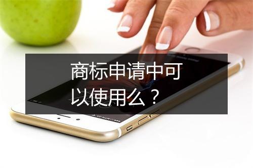 商标申请中可以使用么？
