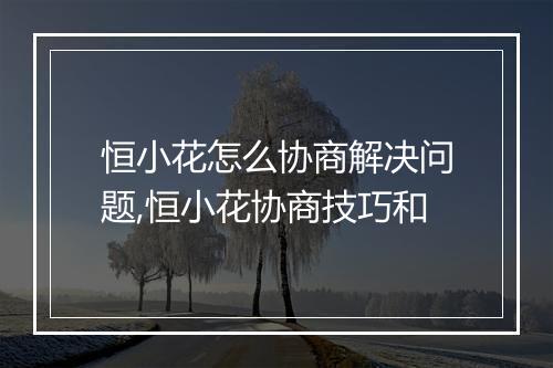 恒小花怎么协商解决问题,恒小花协商技巧和