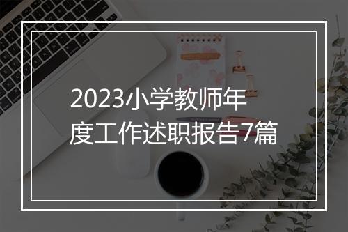 2023小学教师年度工作述职报告7篇