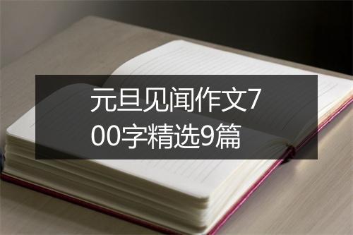元旦见闻作文700字精选9篇