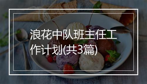 浪花中队班主任工作计划(共3篇)