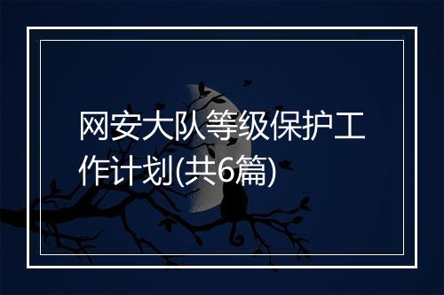 网安大队等级保护工作计划(共6篇)