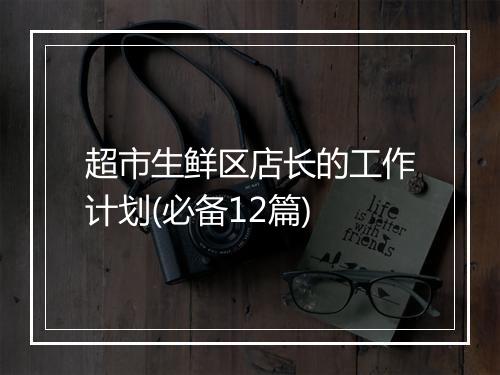 超市生鲜区店长的工作计划(必备12篇)